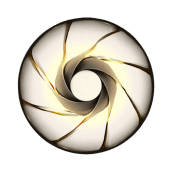 Bildraum